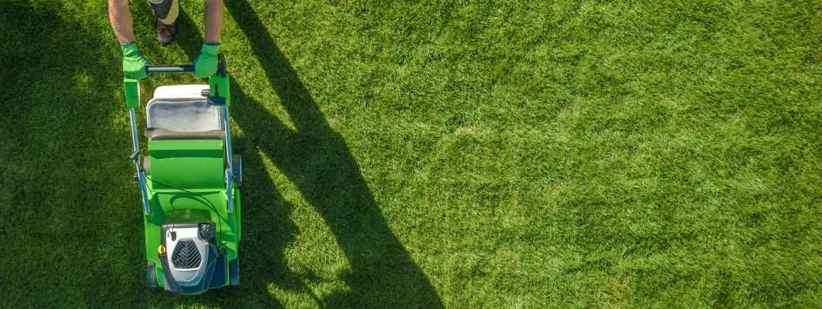 Lawn Care Company