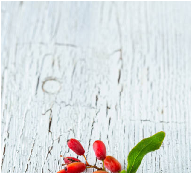 Berberine UltraSorb Benefits, Applications, and Dosage