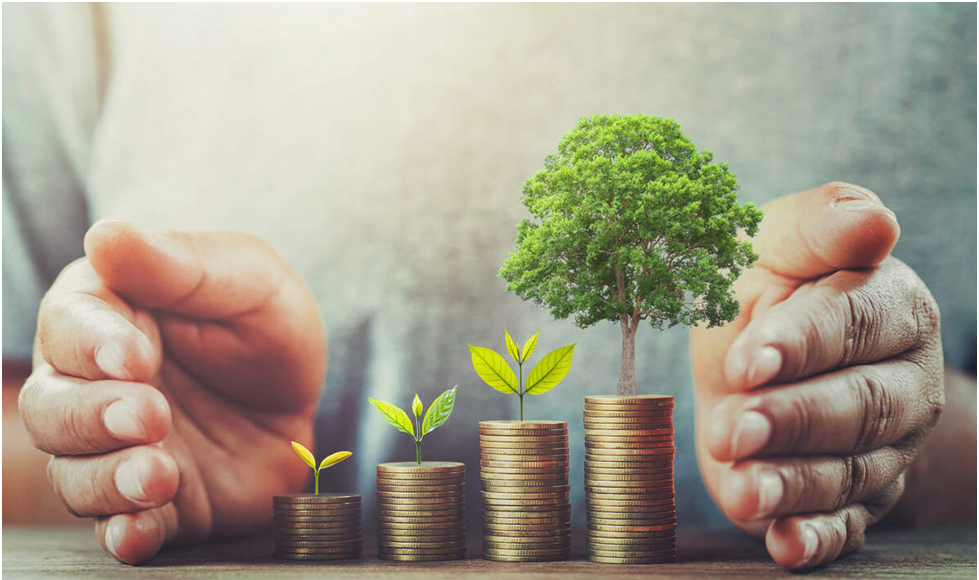 6 Smart Investment Tips to Help You Find the Best Investment Plan