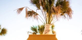 Effortless Celebrations and Smart Planning with Party Rentals Dallas Party rentals Dallas